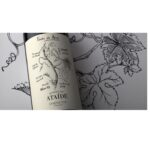 Quinta-de-Ataide-Vinha-do-Arco-Bloco-63-075l-Tinto-2008