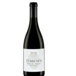 Terrenus-vinha-da-Ammaia-Amphorae-075l-tinto-2022