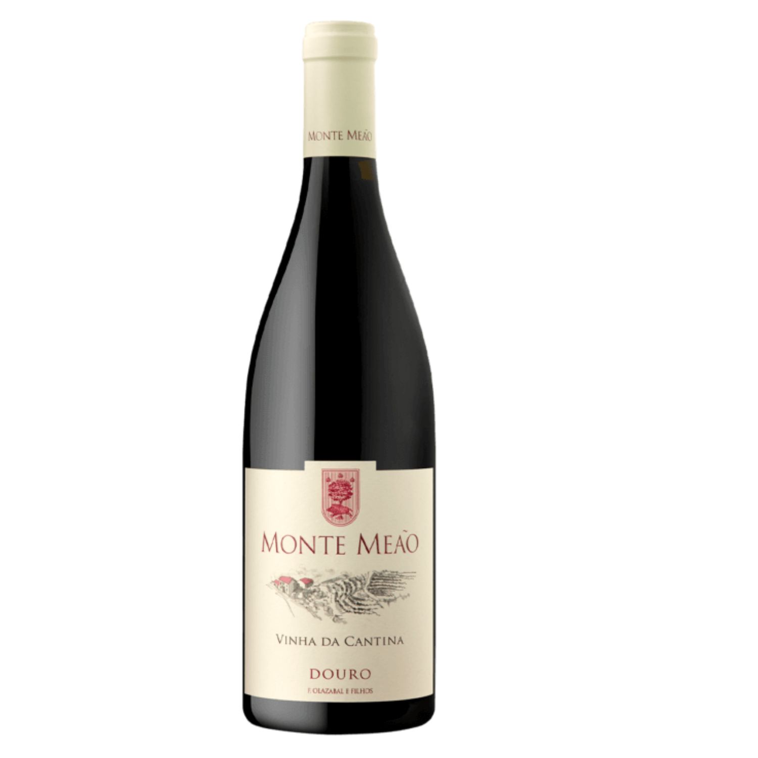 Monte-meao-vinha-da-cantina-baga-2021.